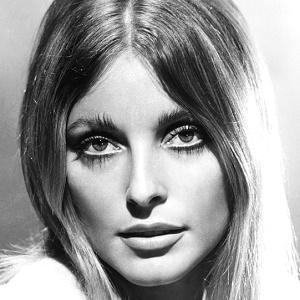Sharon Tate Actor Age Height Net Worth